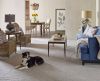 Find Soft, Durable Carpet Flooring for Homes Across the Inland Northwest